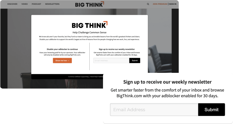 Big Think example Grow Email Subscriptions Admiral Module